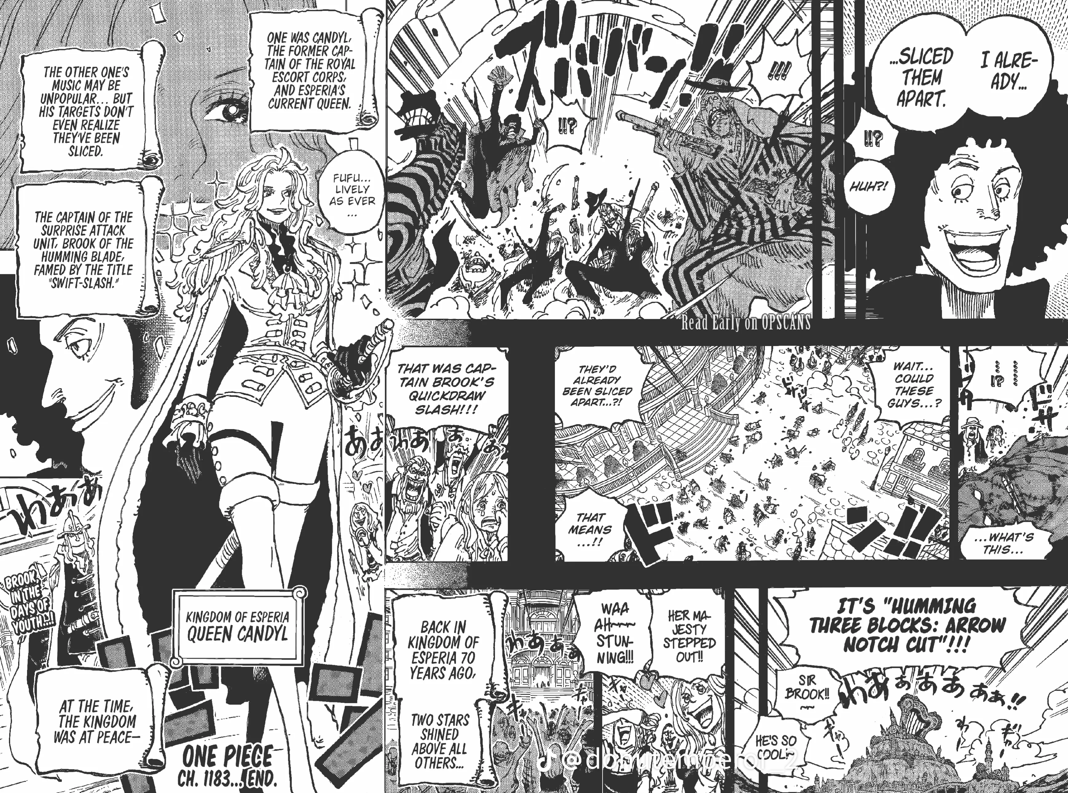 One Piece Manga, chapter 1183 ENG, page 14