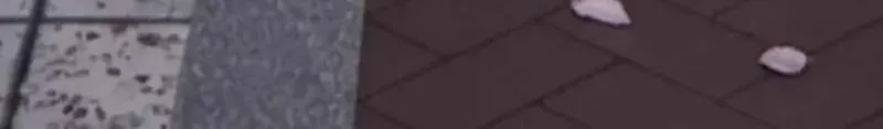 The Apocalypse is Here, chapter 65, page 100
