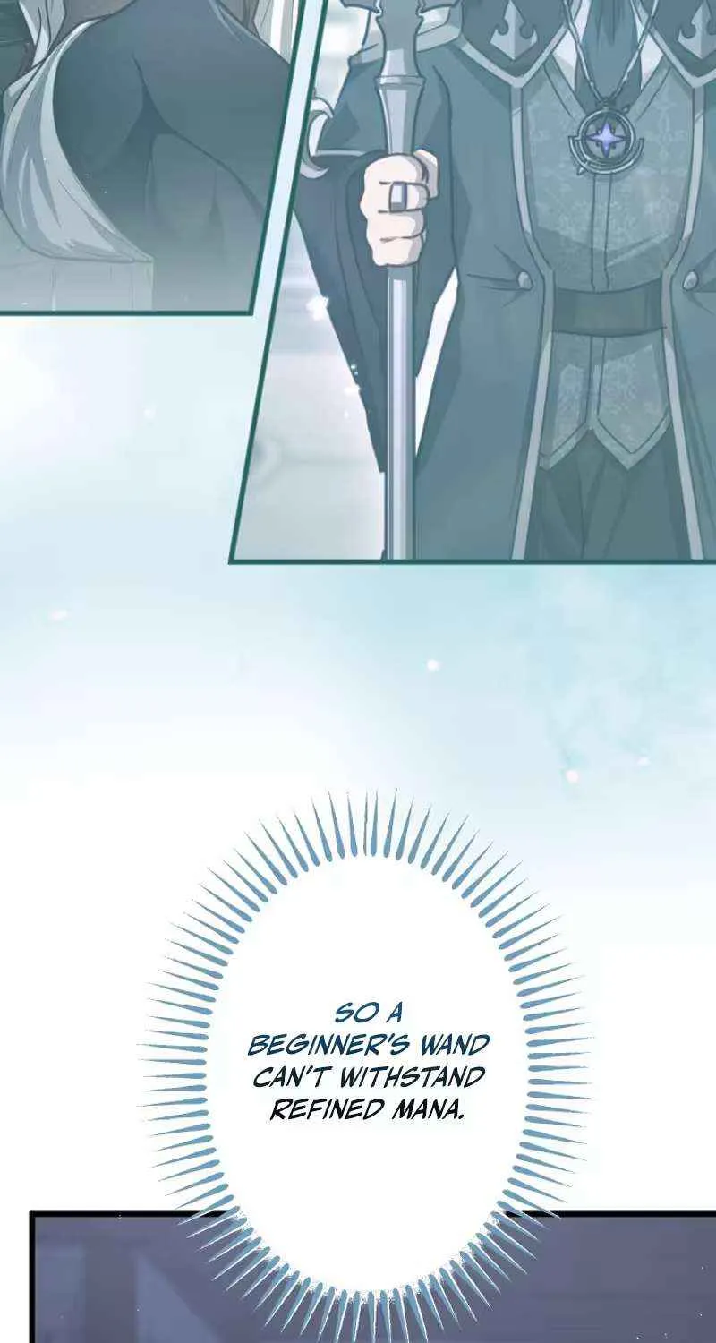 The Regressed Sword Saint’s Magic Theory, chapter 17, page 43