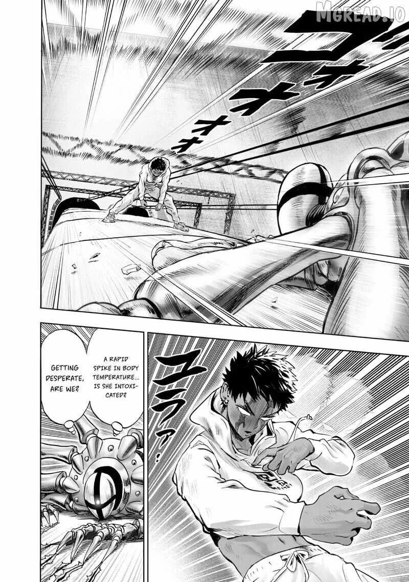 One Punch Man, chapter 230, page 13