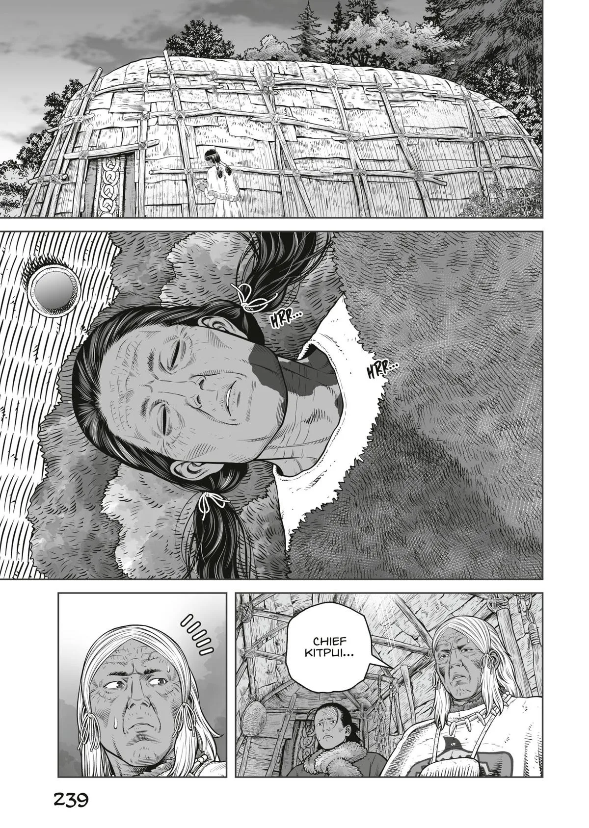 Vinland Saga, chapter 203, page 17