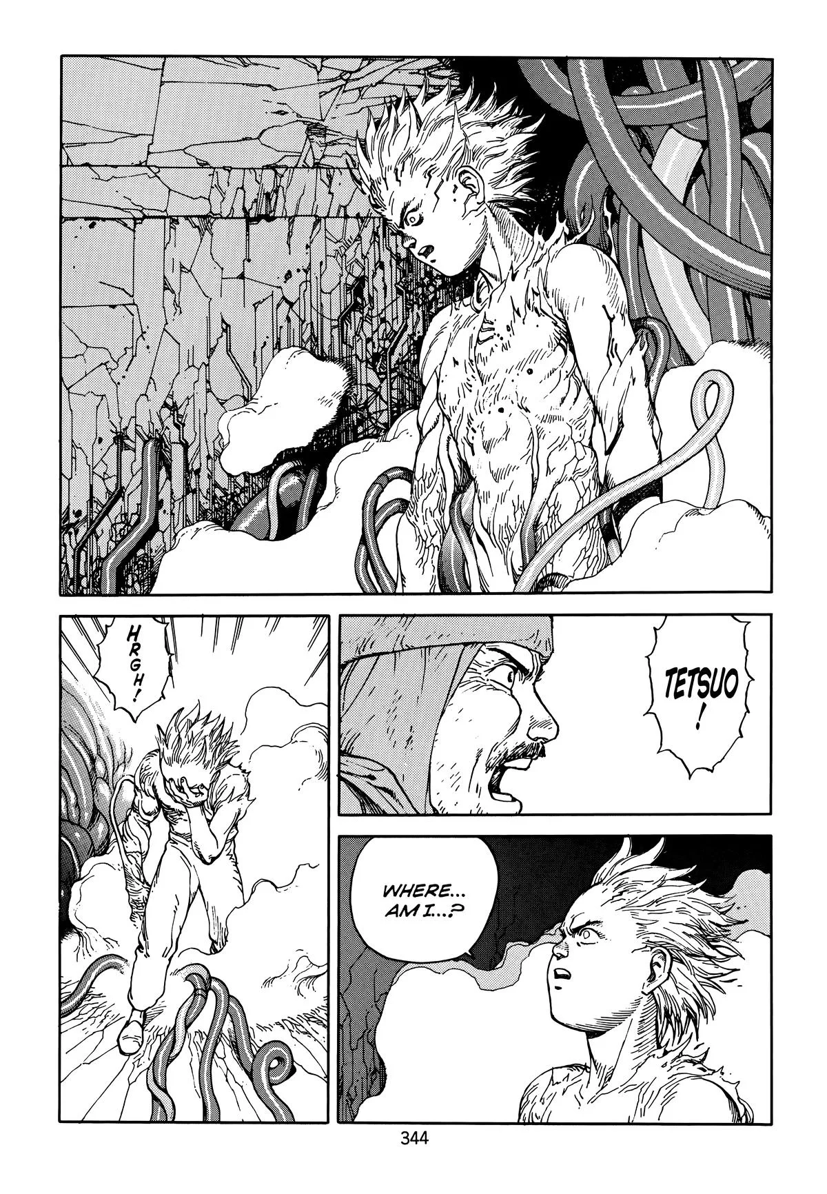 Akira, chapter Vol 5, page 346