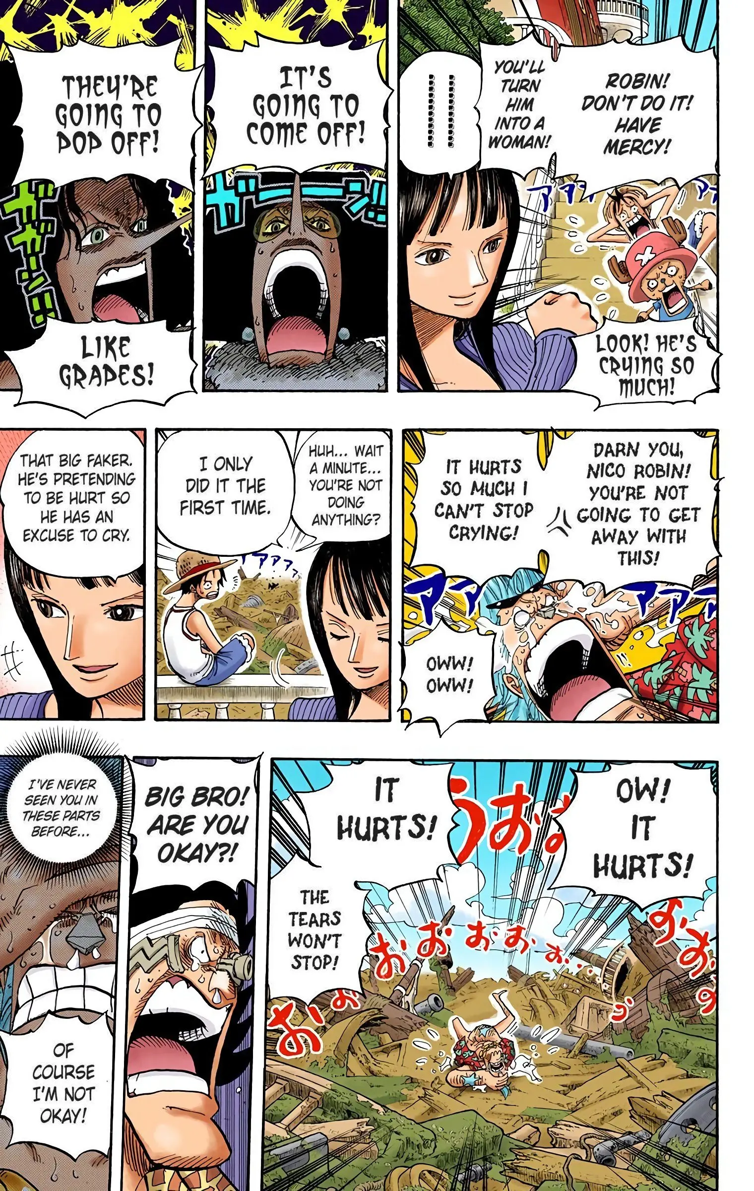 One Piece Colored, chapter 437, page 13