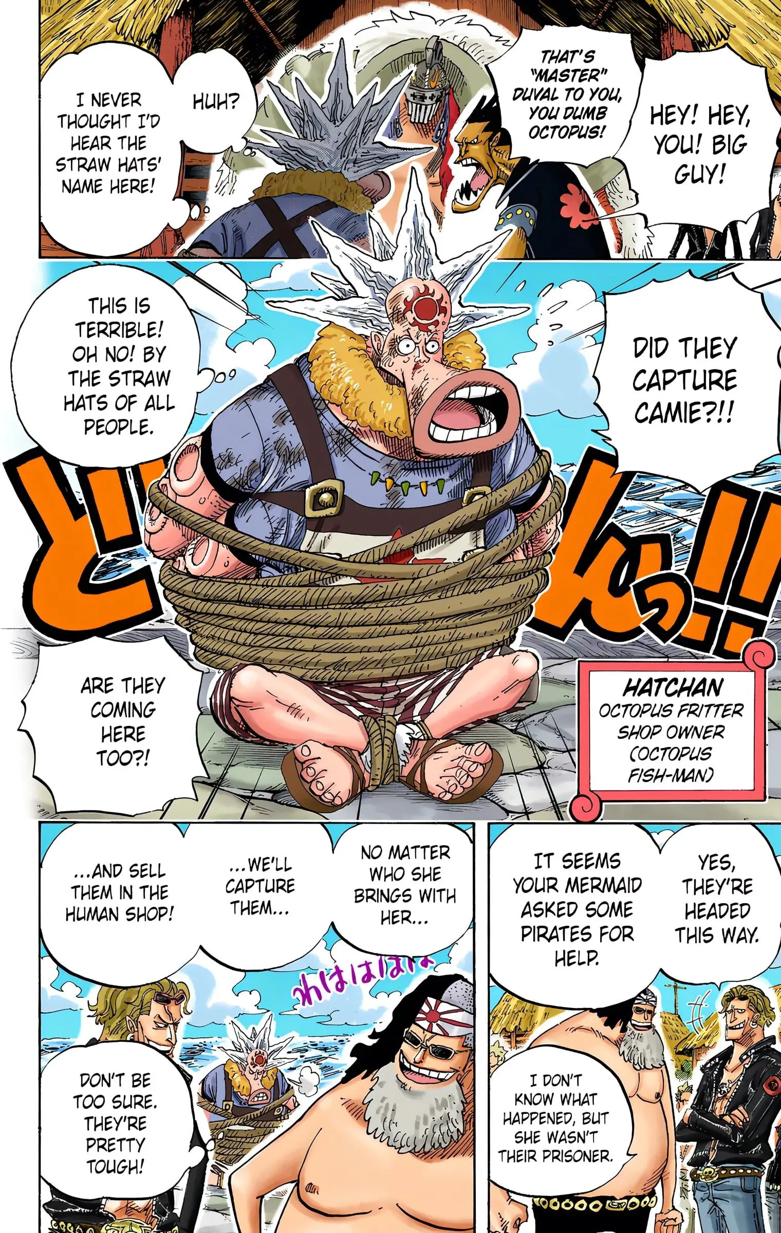 One Piece Colored, chapter 492, page 14