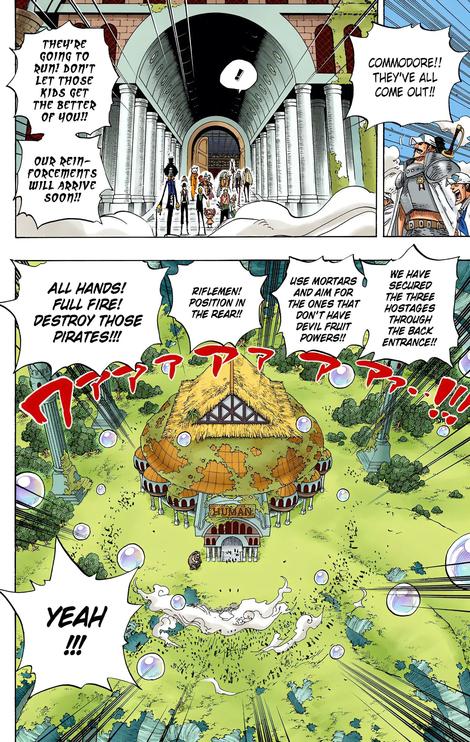 One Piece Colored, chapter 505, page 9