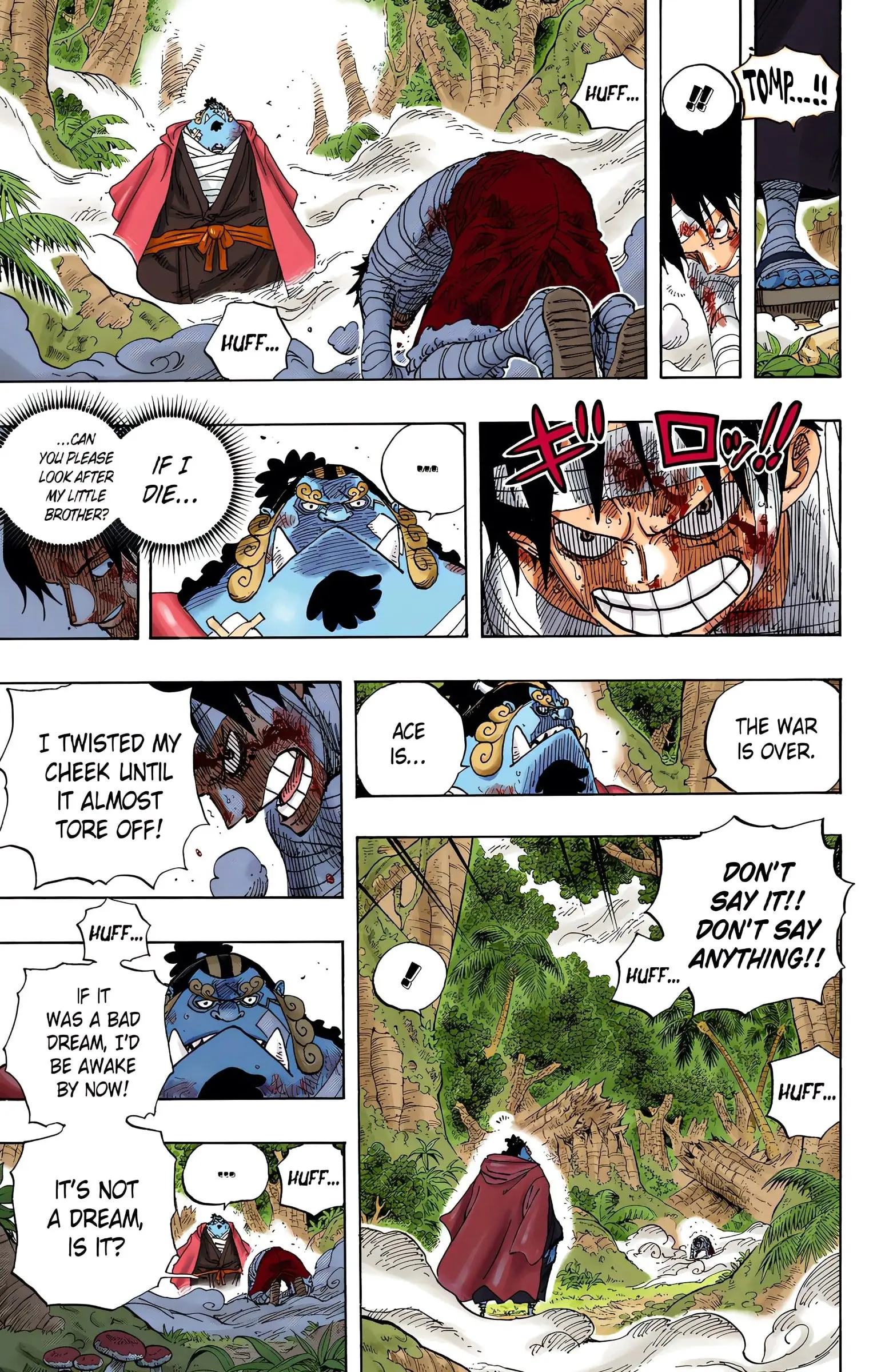 One Piece Colored, chapter 582, page 13