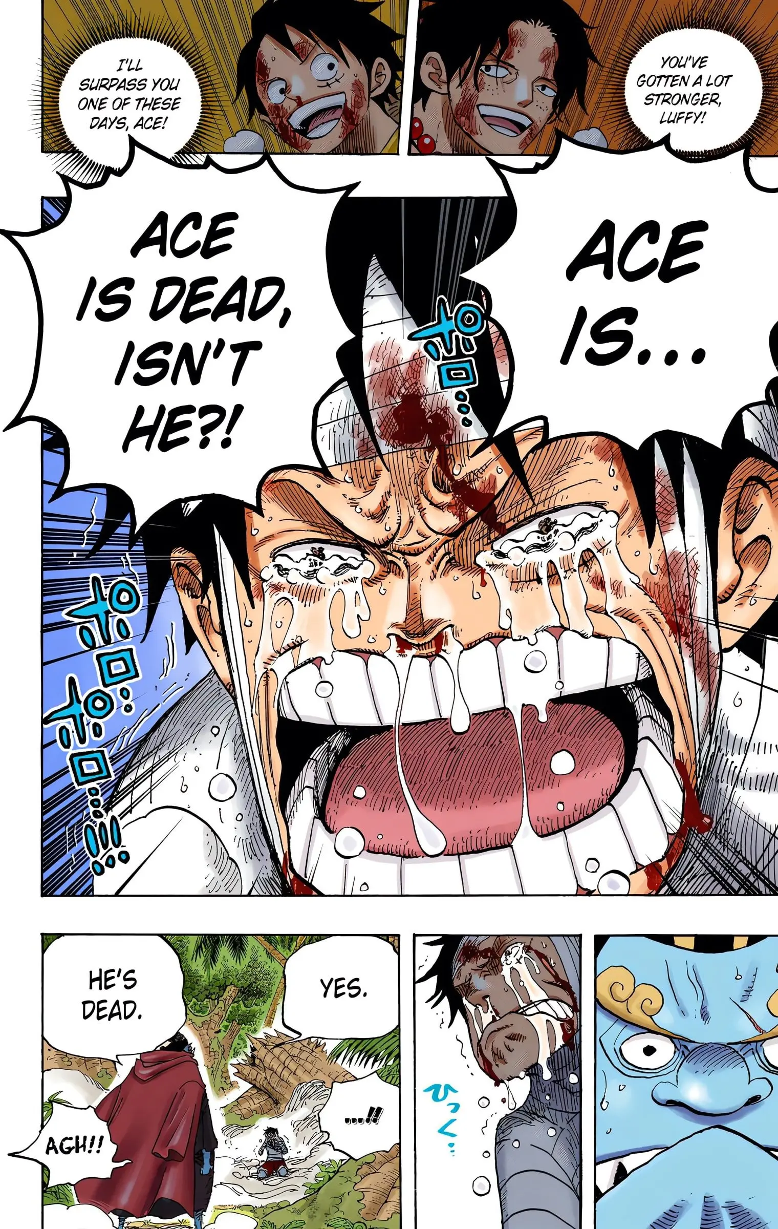 One Piece Colored, chapter 582, page 14