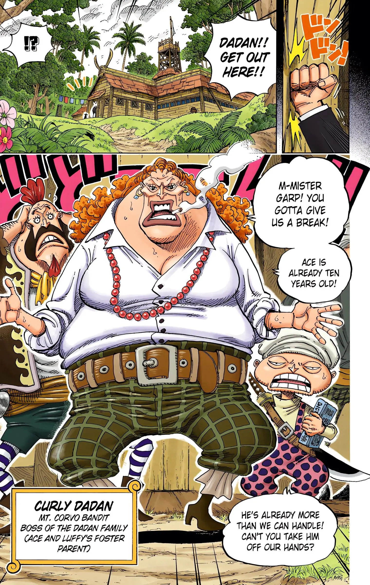 One Piece Colored, chapter 582, page 17