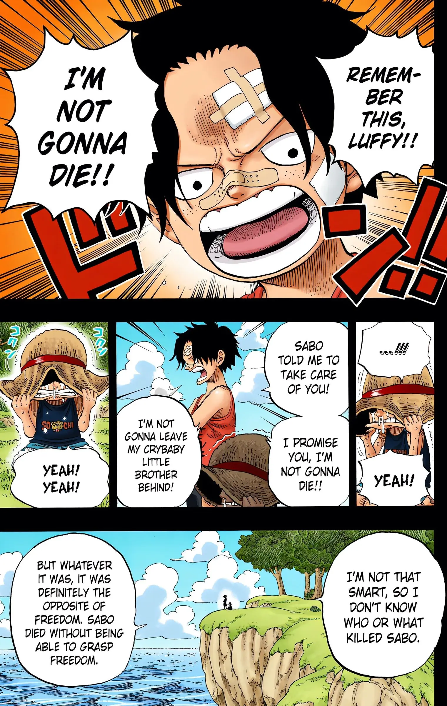 One Piece Colored, chapter 589, page 5