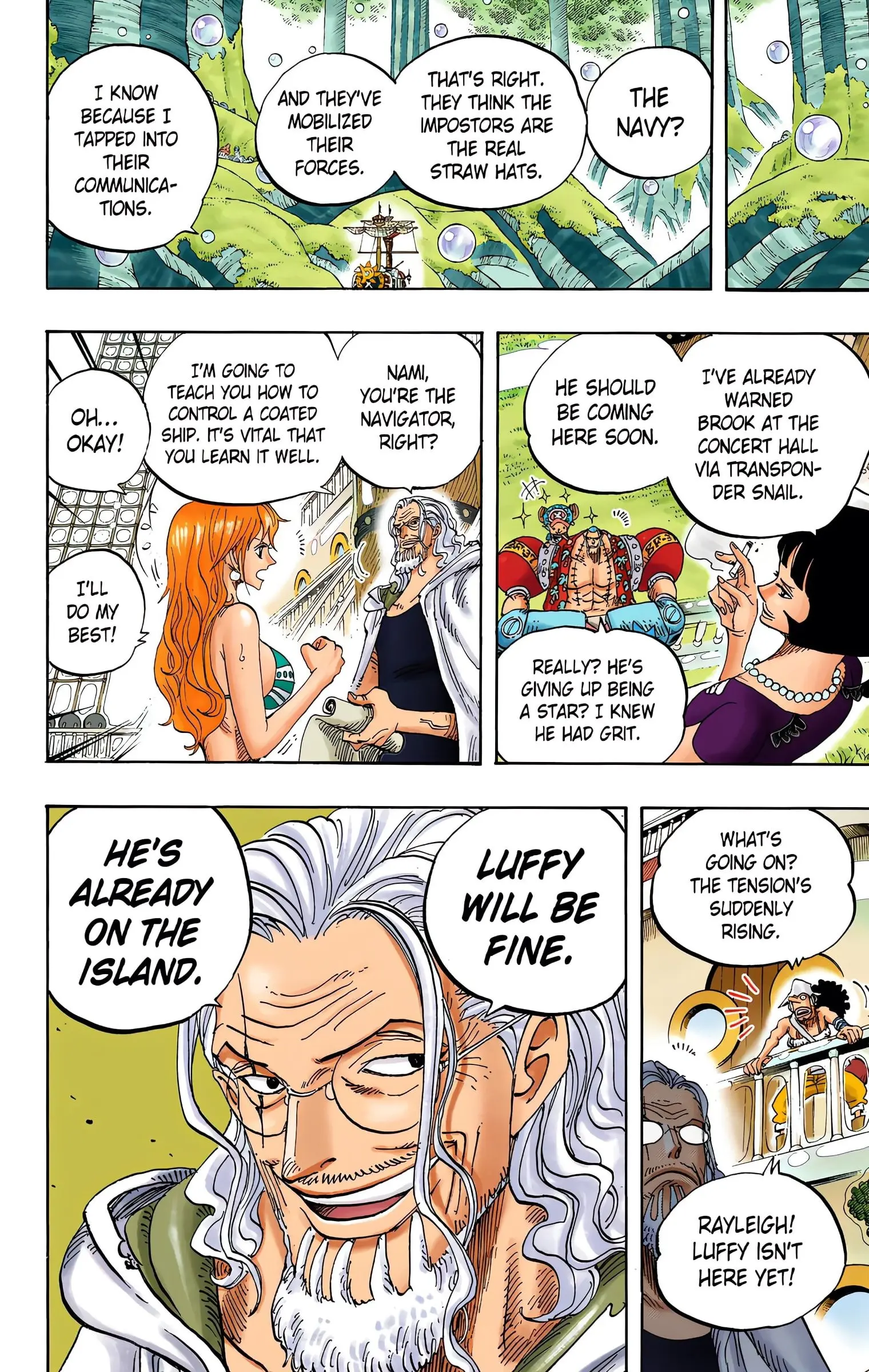 One Piece Colored, chapter 600, page 17