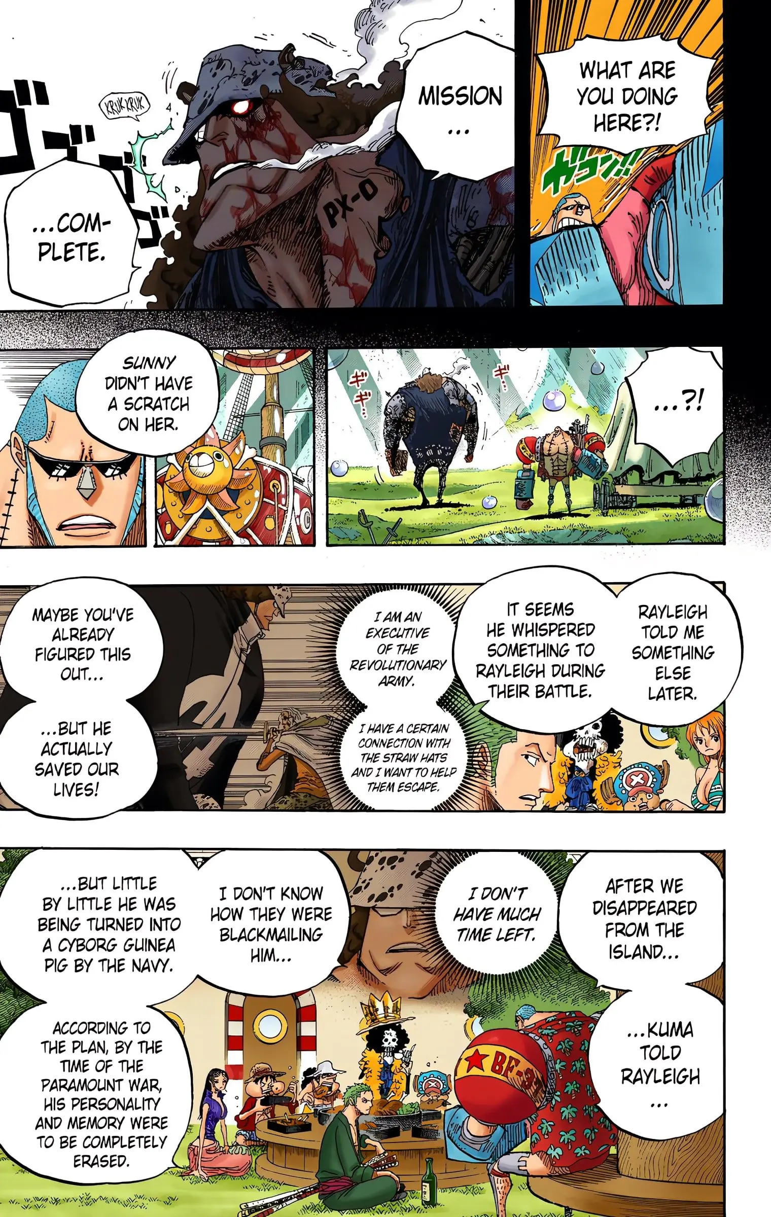 One Piece Colored, chapter 603, page 14