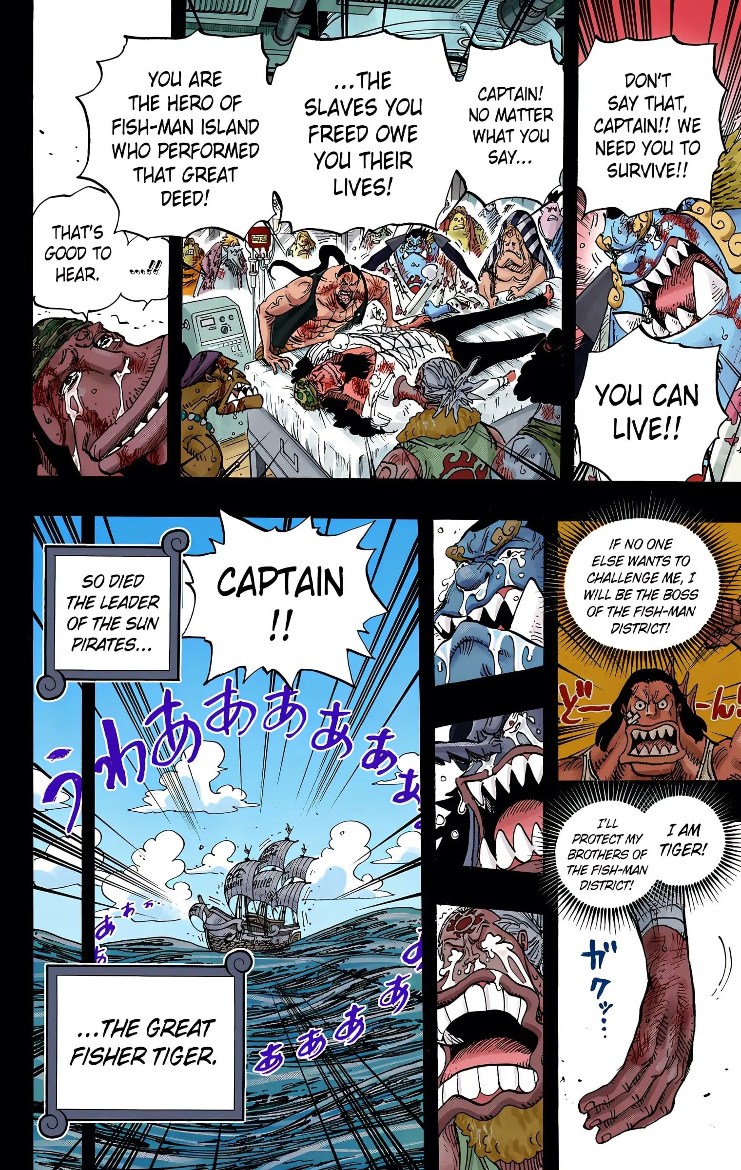 One Piece Colored, chapter 623, page 17