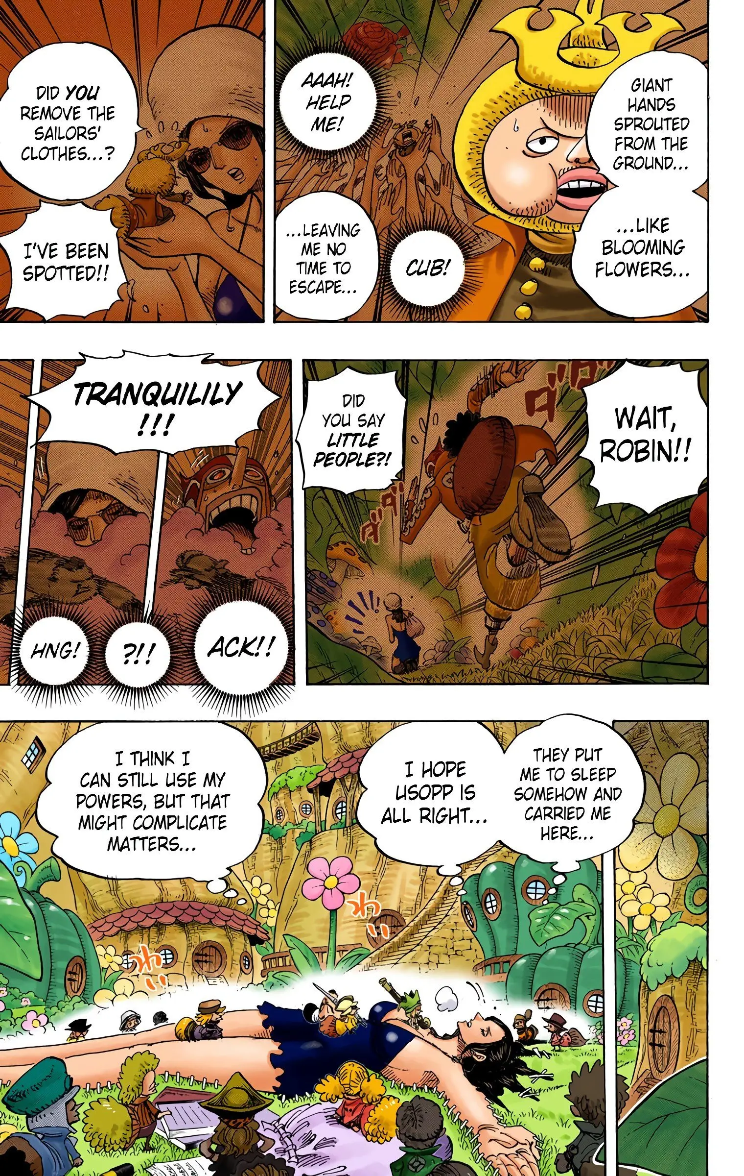 One Piece Colored, chapter 711, page 4