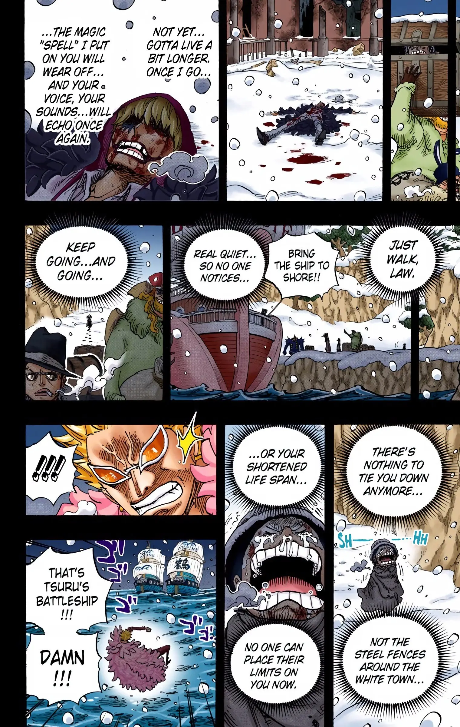 One Piece Colored, chapter 767, page 16