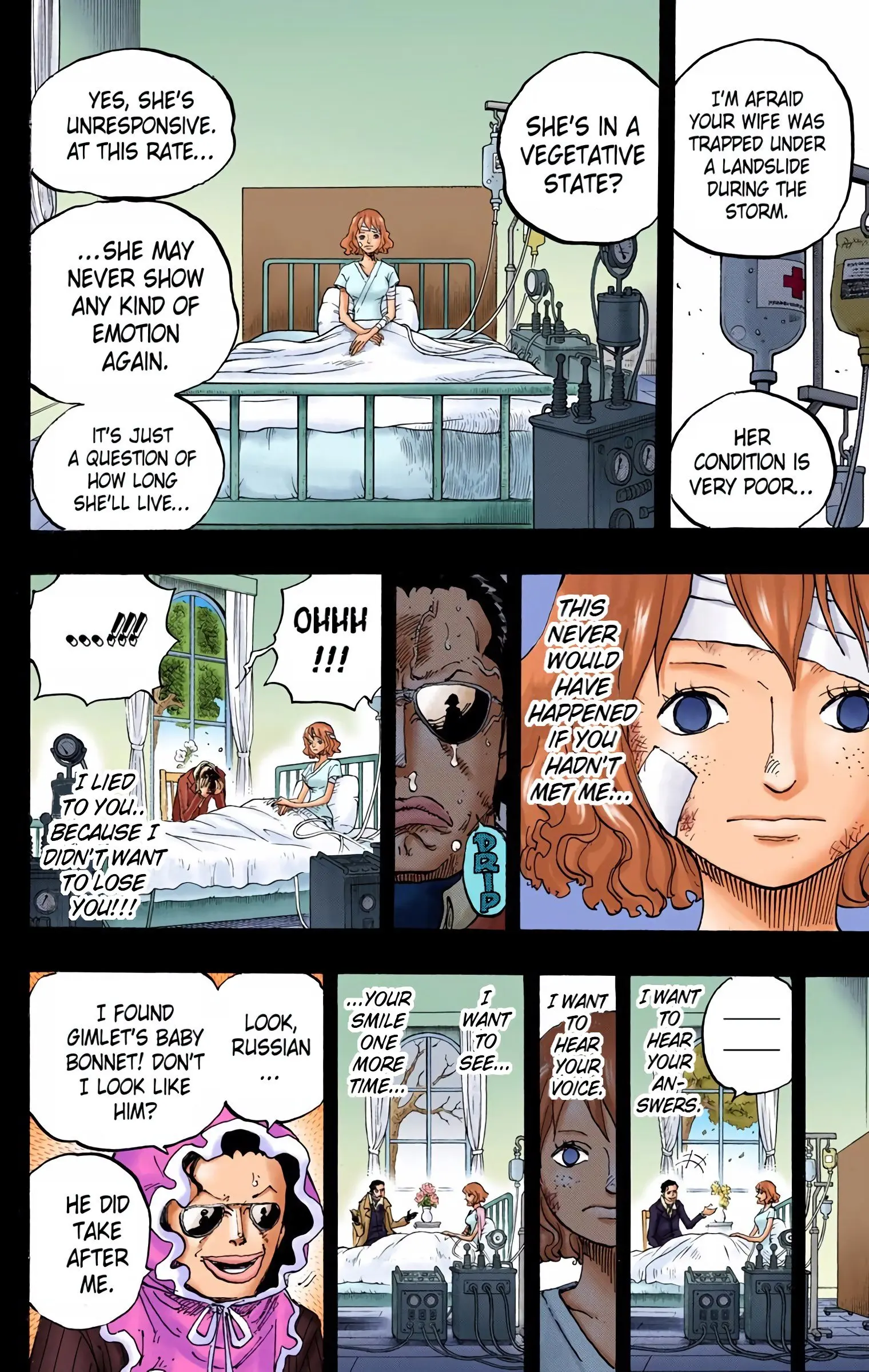 One Piece Colored, chapter 775, page 13