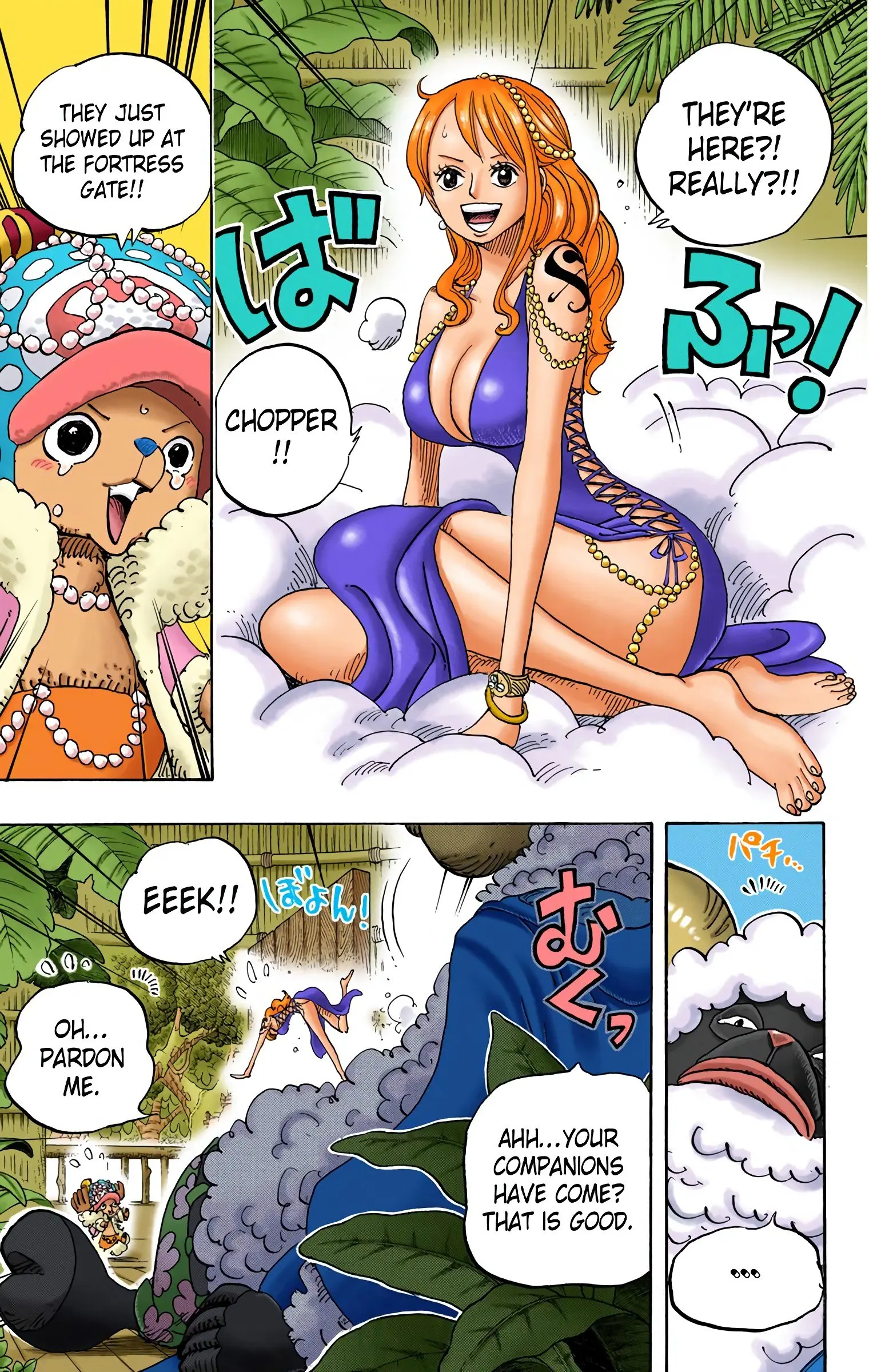 One Piece Colored, chapter 806, page 13