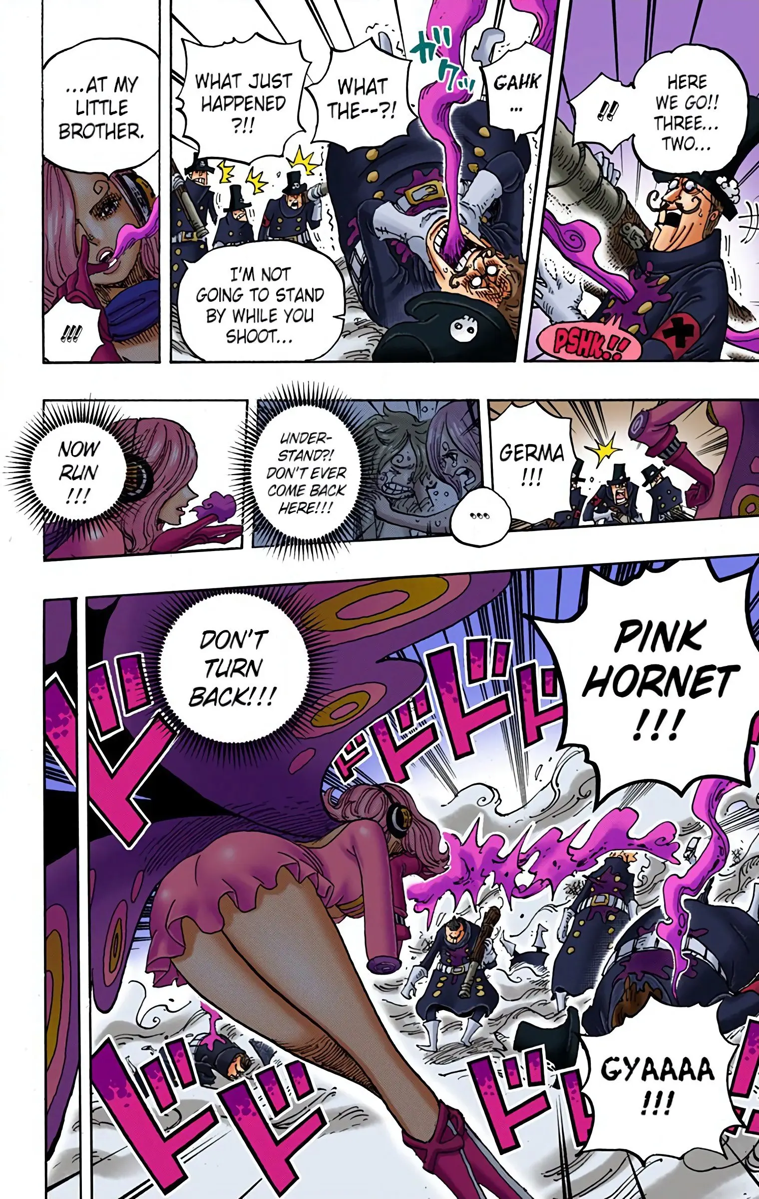 One Piece Colored, chapter 898, page 13