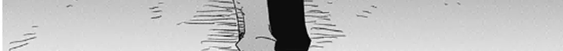 Freedom, chapter Oneshot, page 66