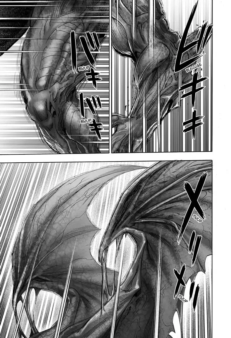 One Punch Man, chapter 161, page 30