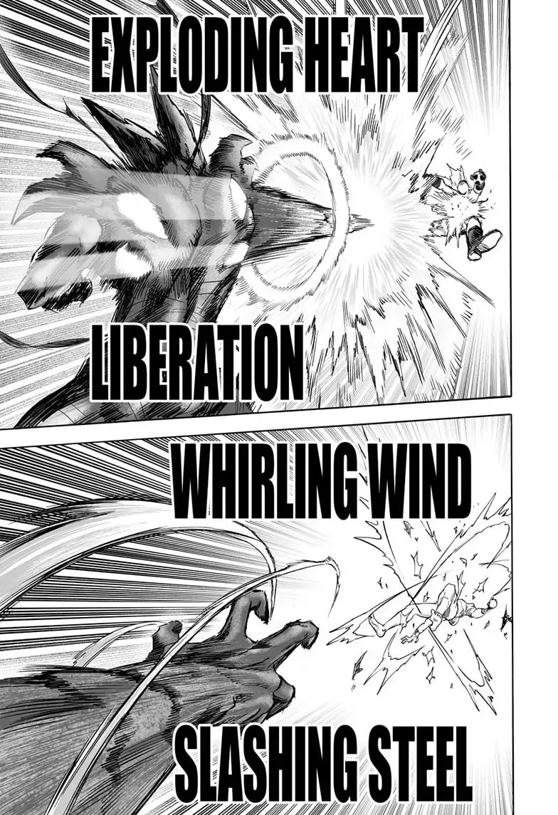 One Punch Man, chapter 165, page 29