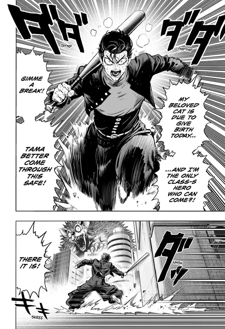 One Punch Man, chapter 178, page 28