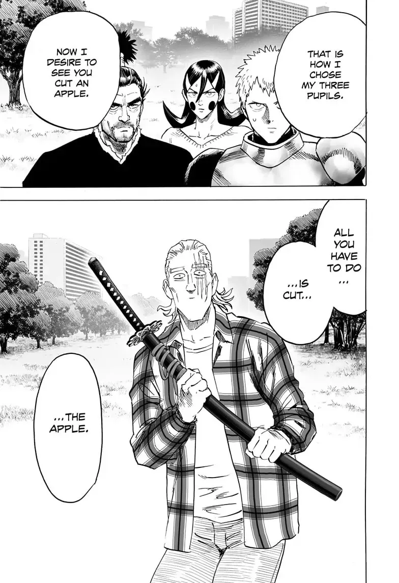 One Punch Man, chapter 187, page 19