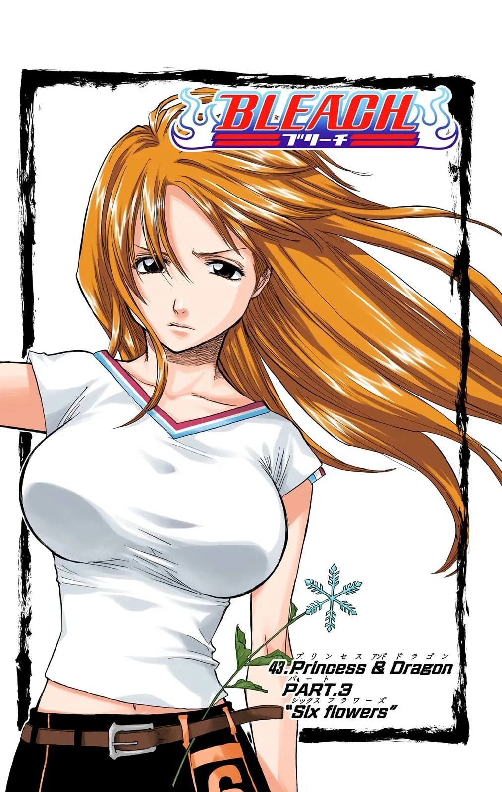 Bleach Colored Manga, chapter 43, page 5