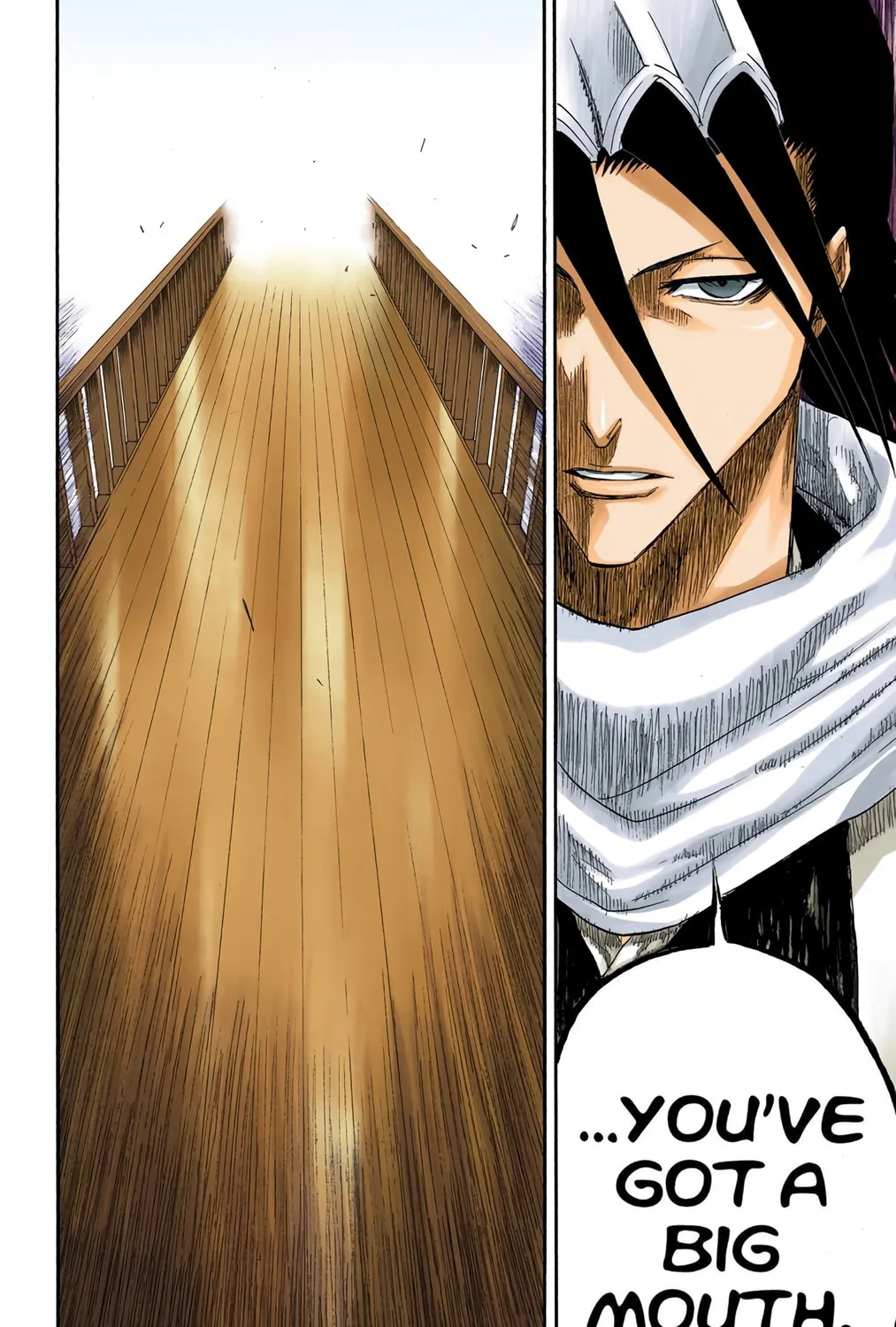 Bleach Colored Manga, chapter 117, page 23