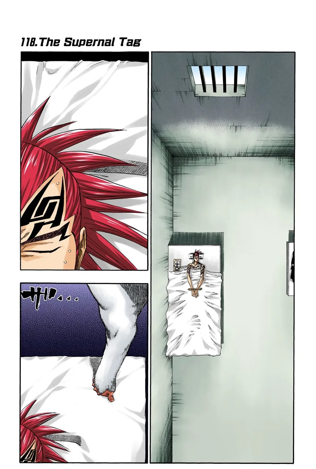 Bleach Colored Manga, chapter 118, page 1