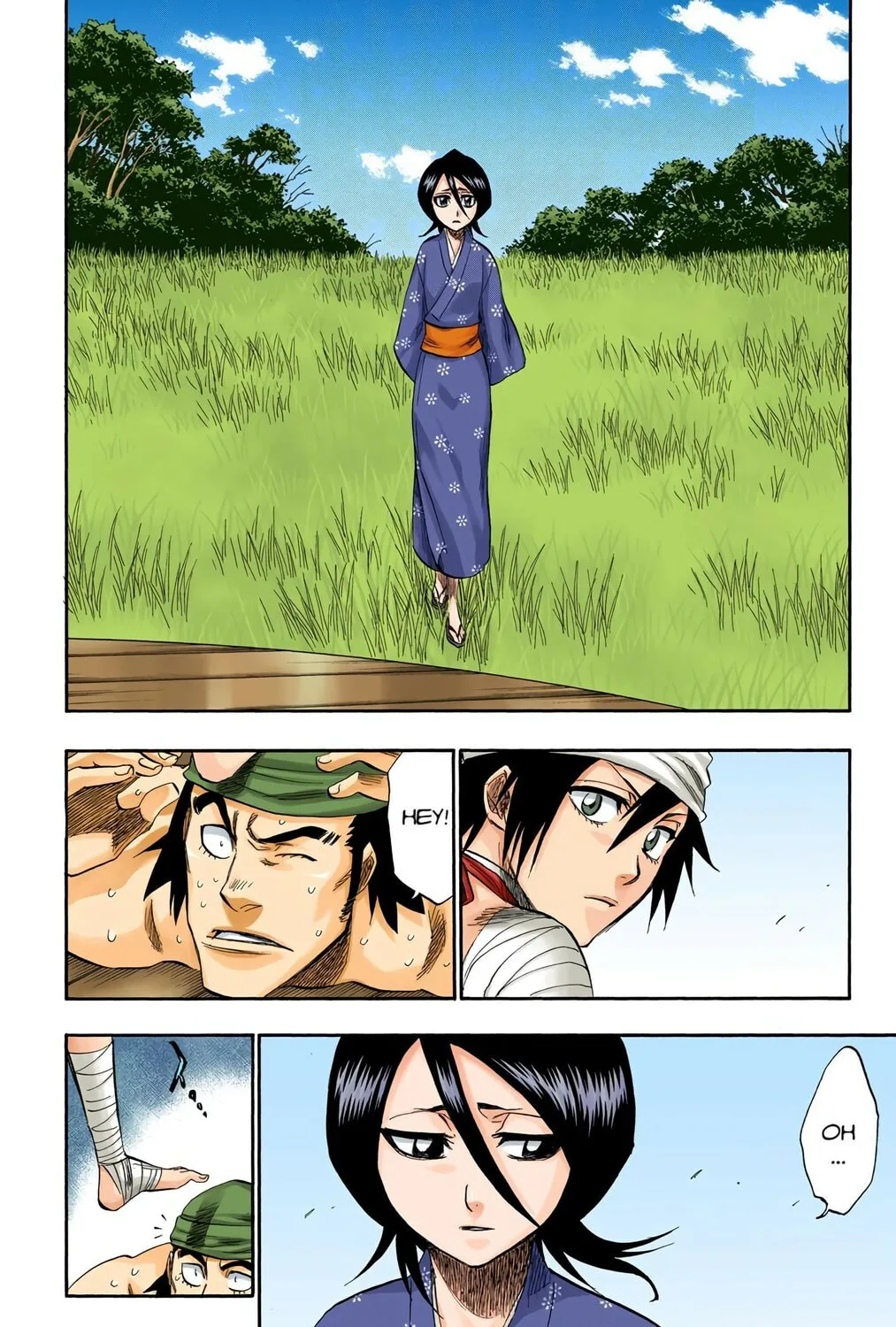 Bleach Colored Manga, chapter 181, page 15