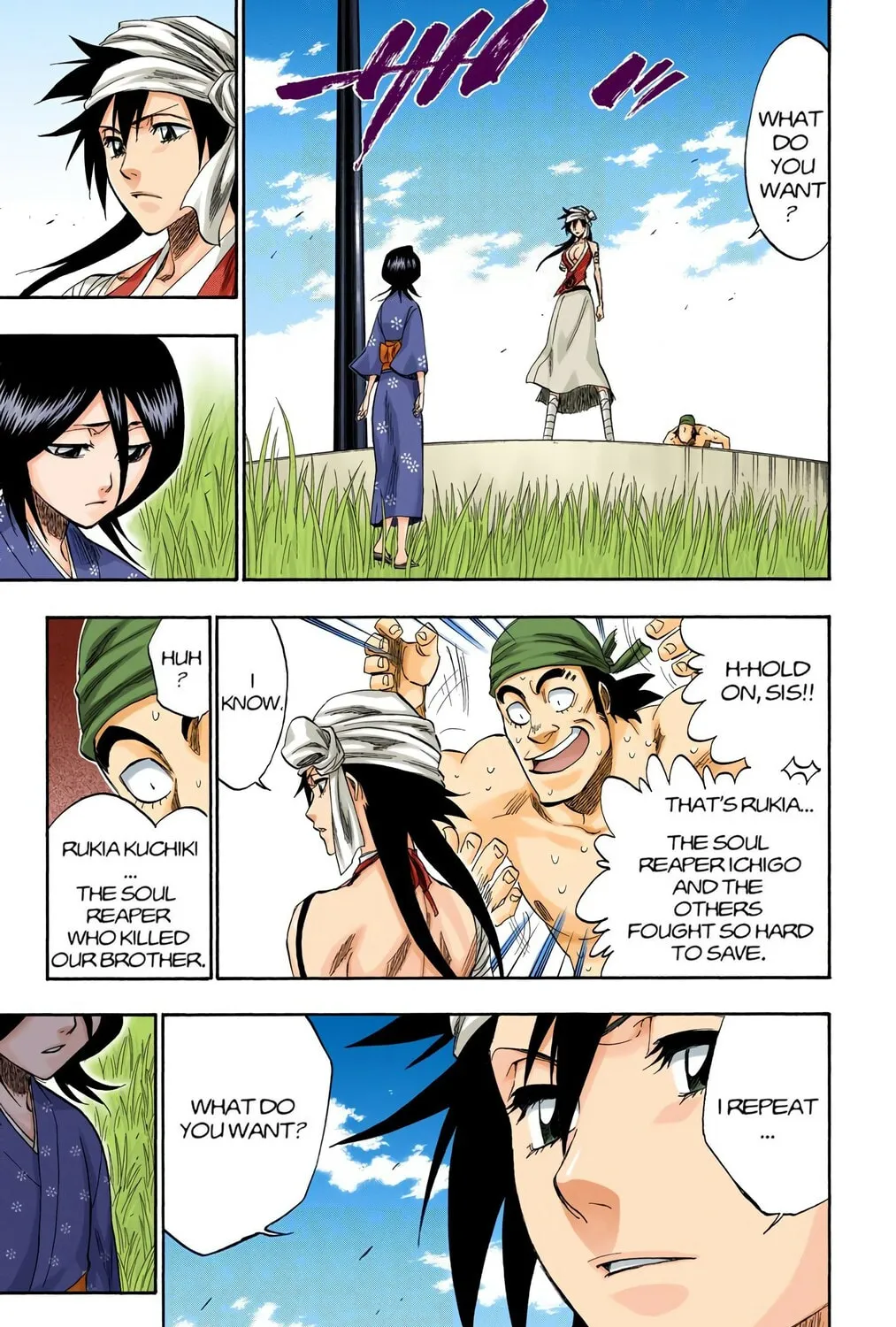Bleach Colored Manga, chapter 181, page 17