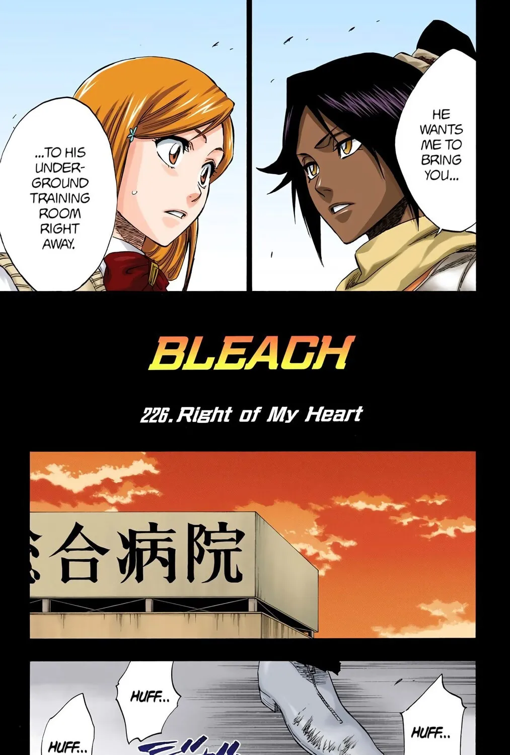 Bleach Colored Manga, chapter 226, page 9