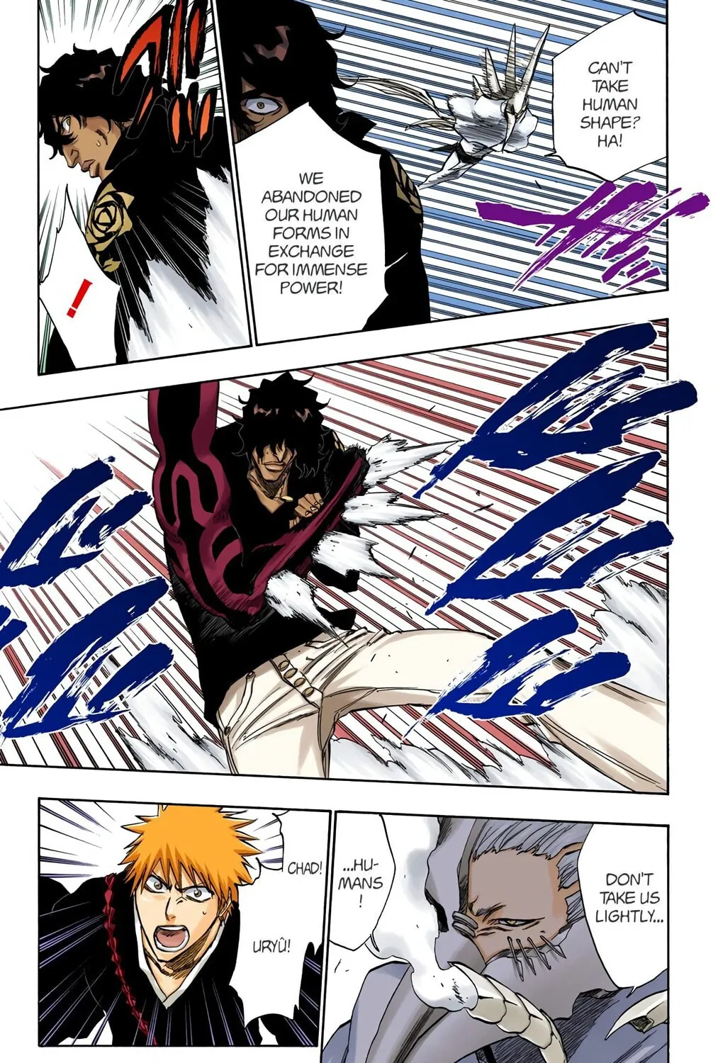 Bleach Colored Manga, chapter 242, page 25