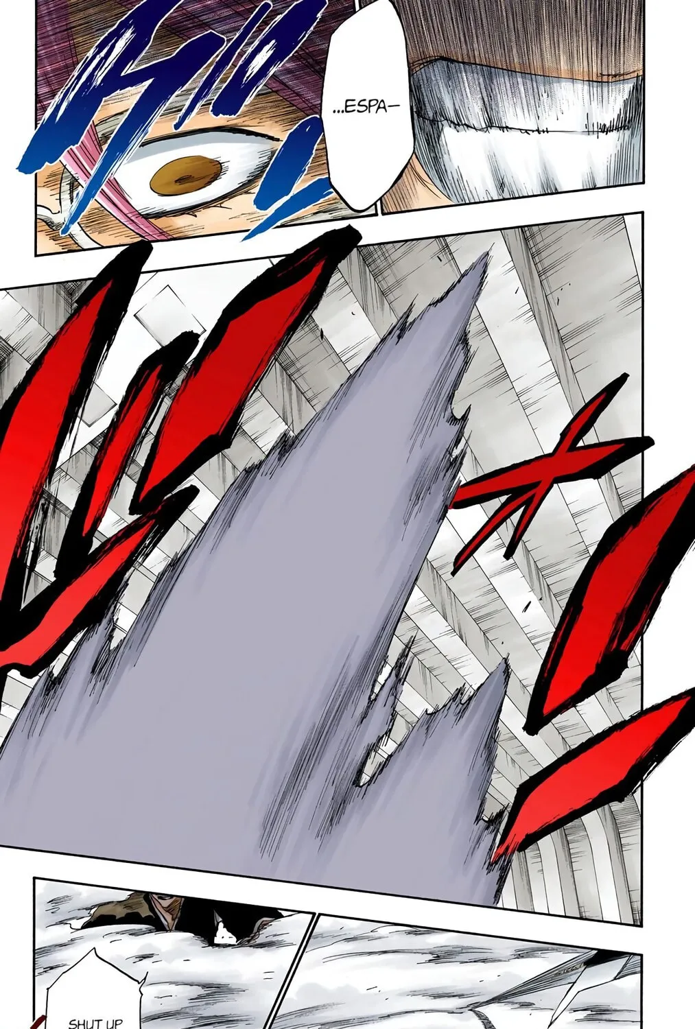 Bleach Colored Manga, chapter 269, page 29