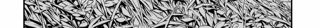 Money Forest, chapter 12, page 72