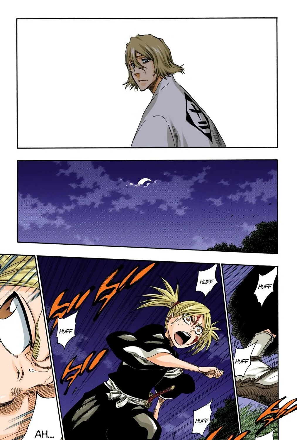 Bleach Colored Manga, chapter 315.1, page 29