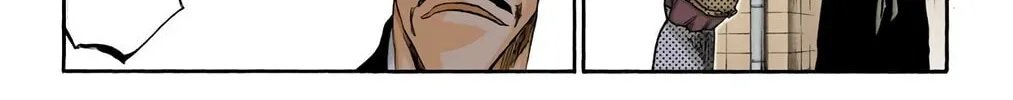 Bleach Colored Manga, chapter 327, page 18