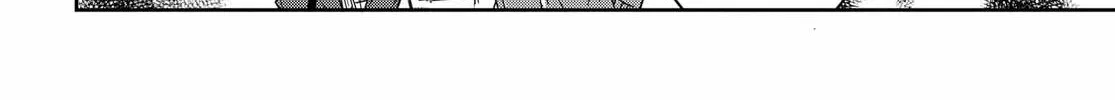 I Want to Marry a Man Stronger Than Me!, chapter 2, page 70