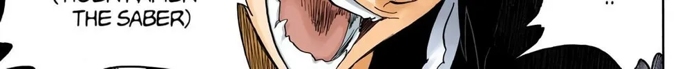 Bleach Colored Manga, chapter 333, page 14