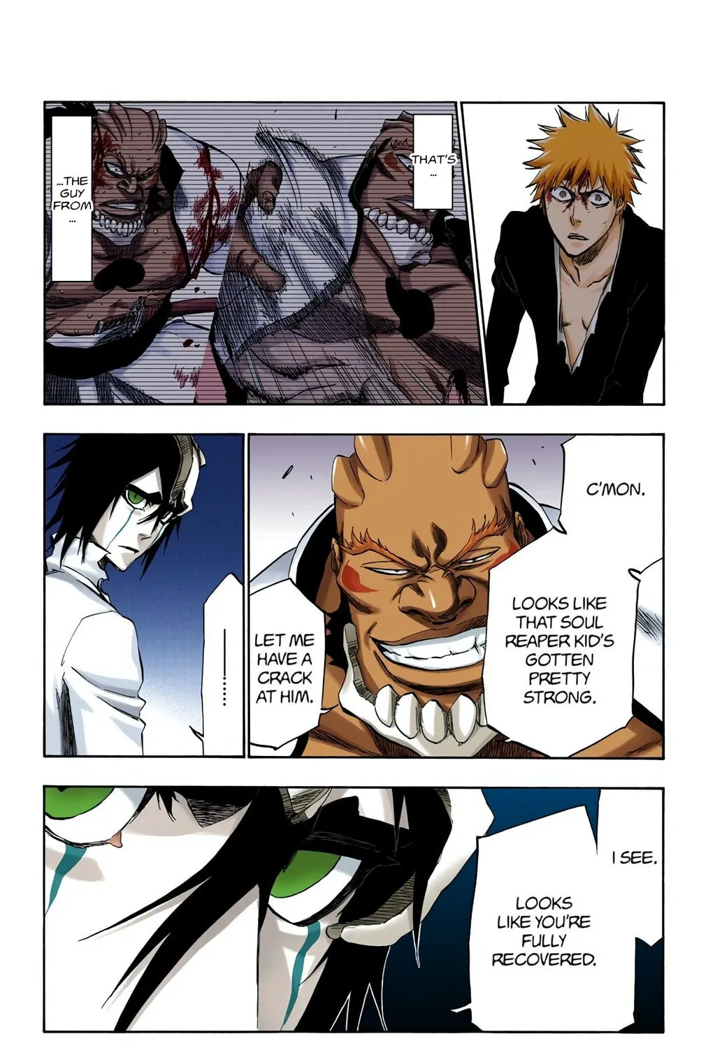 Bleach Colored Manga, chapter 343, page 3