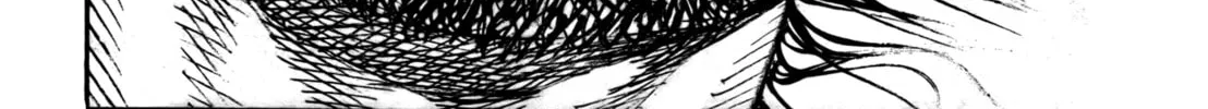 Vagabond Manga, chapter 287, page 14