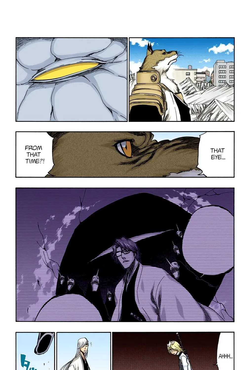 Bleach Colored Manga, chapter 364, page 5