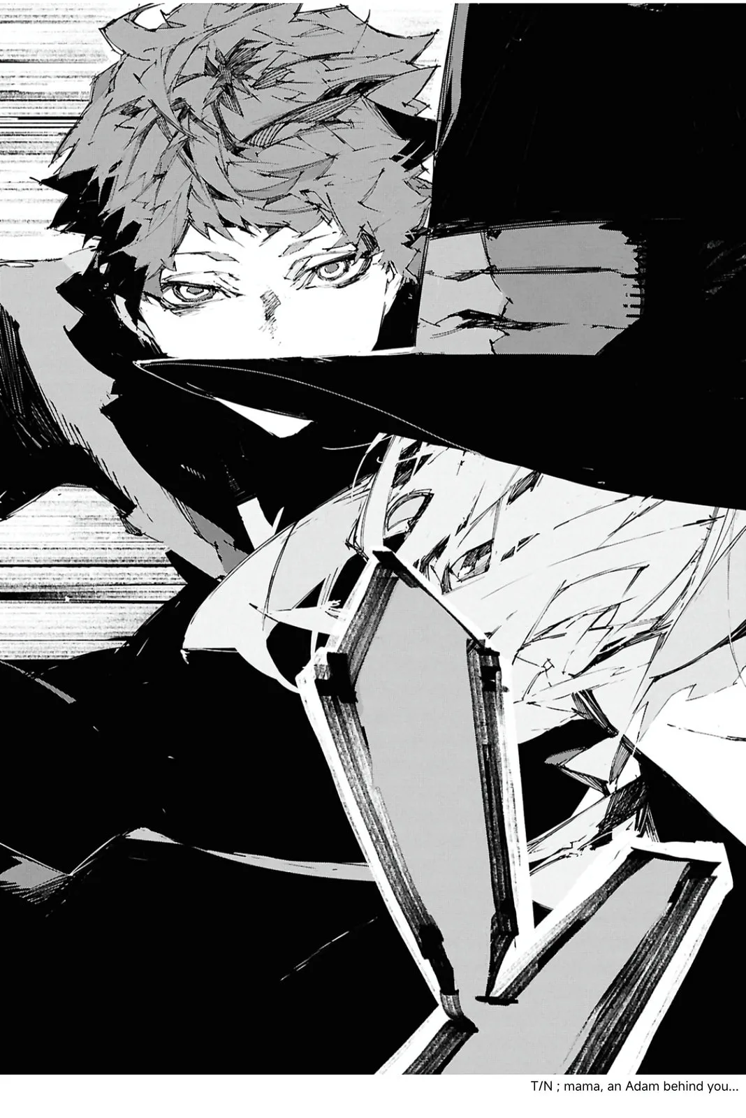 Bungou Stray Dogs: Storm Bringer, chapter 10, page 14