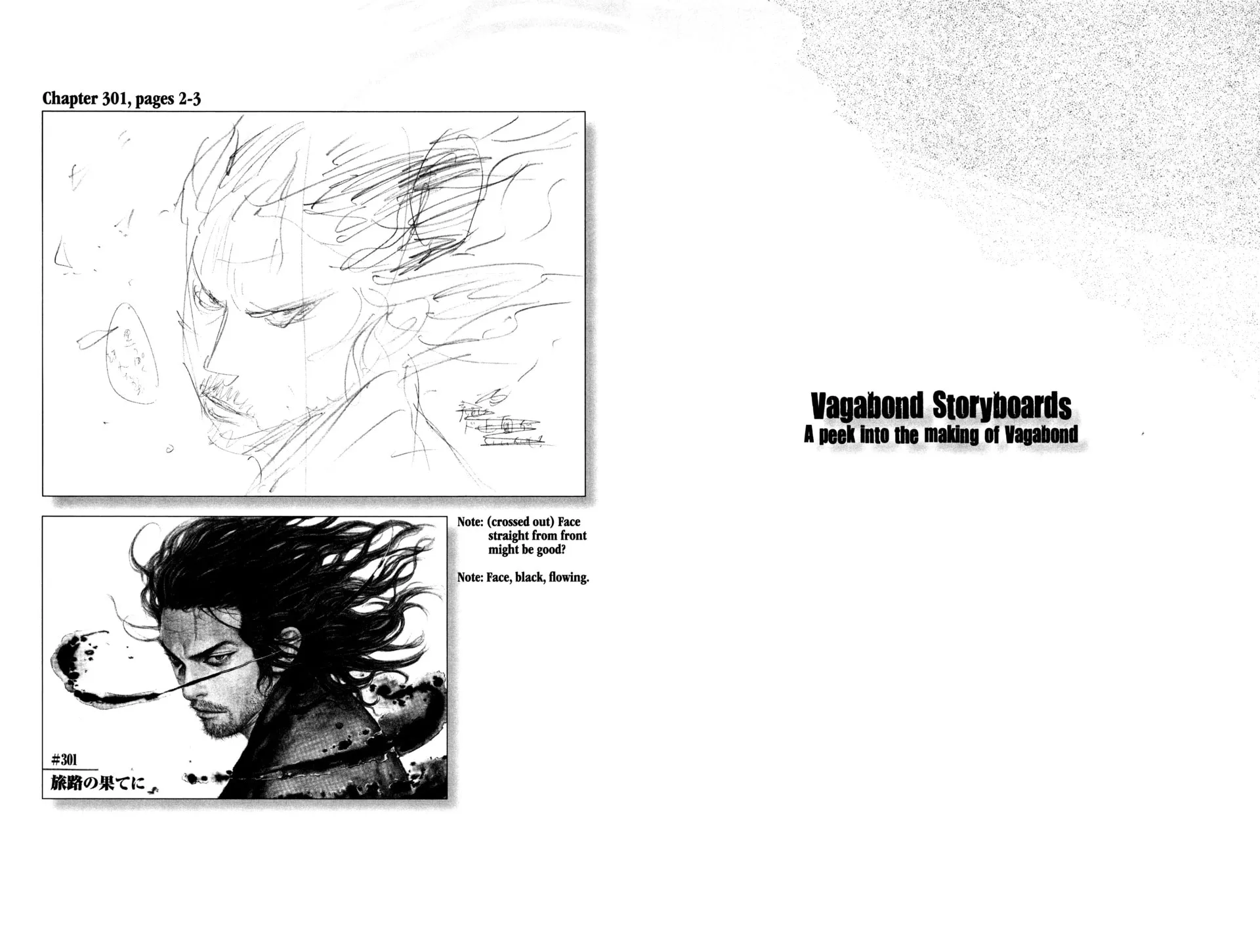 Vagabond Manga, chapter 315, page 17