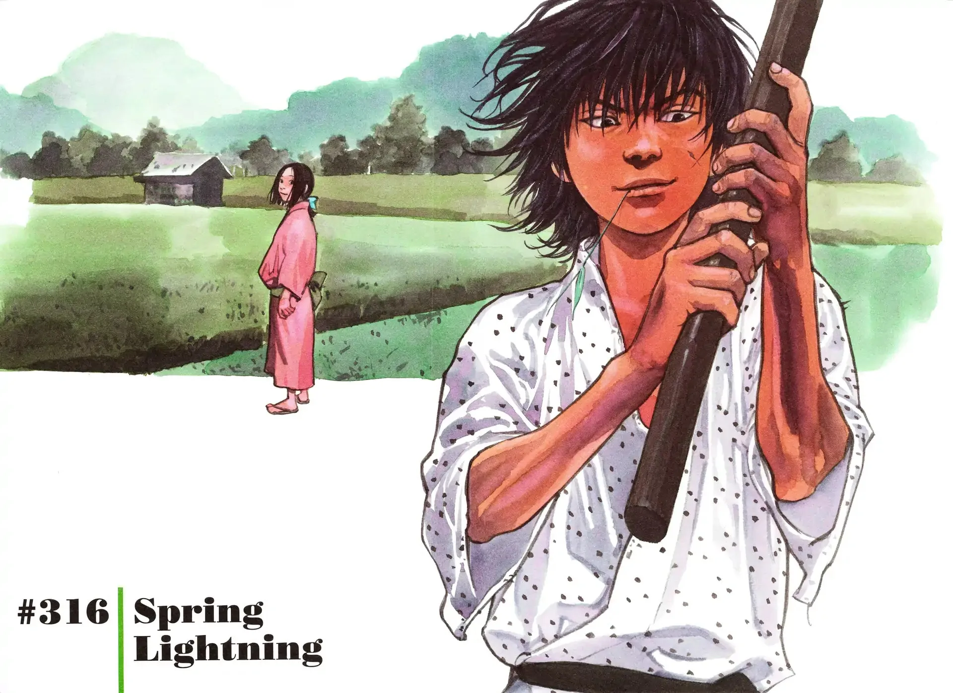 Vagabond Manga, chapter 316, page 4