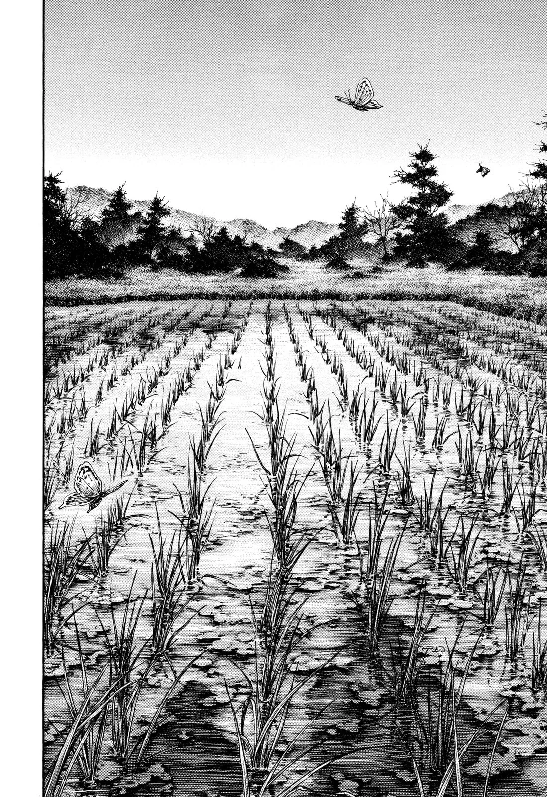 Vagabond Manga, chapter 318, page 27