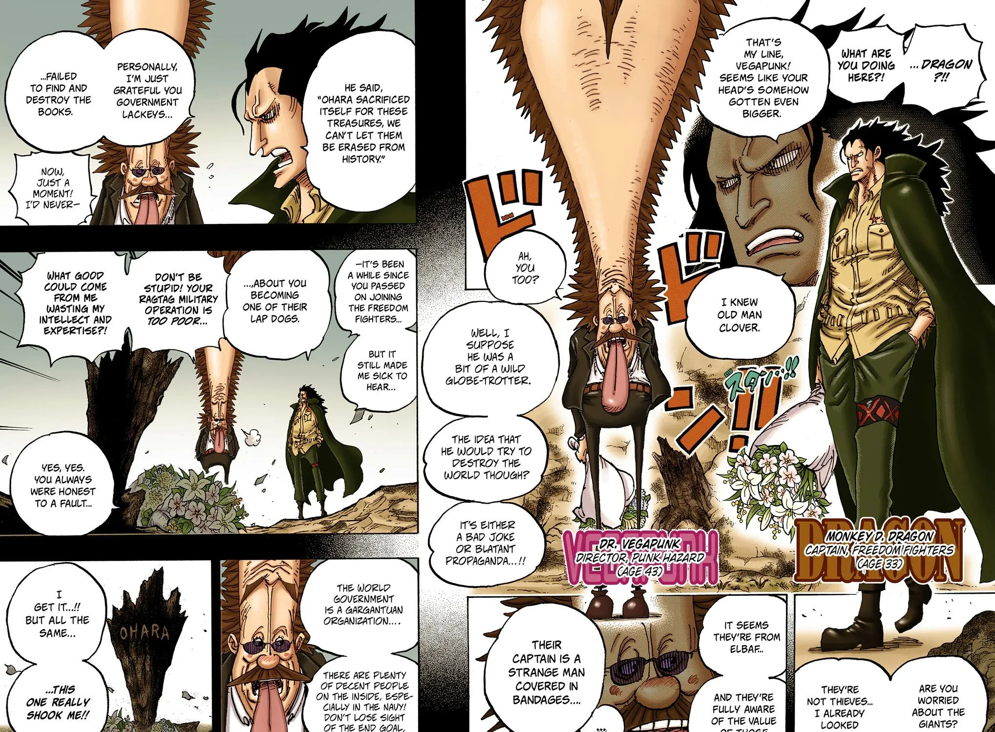 One Piece Colored, chapter 1066, page 31