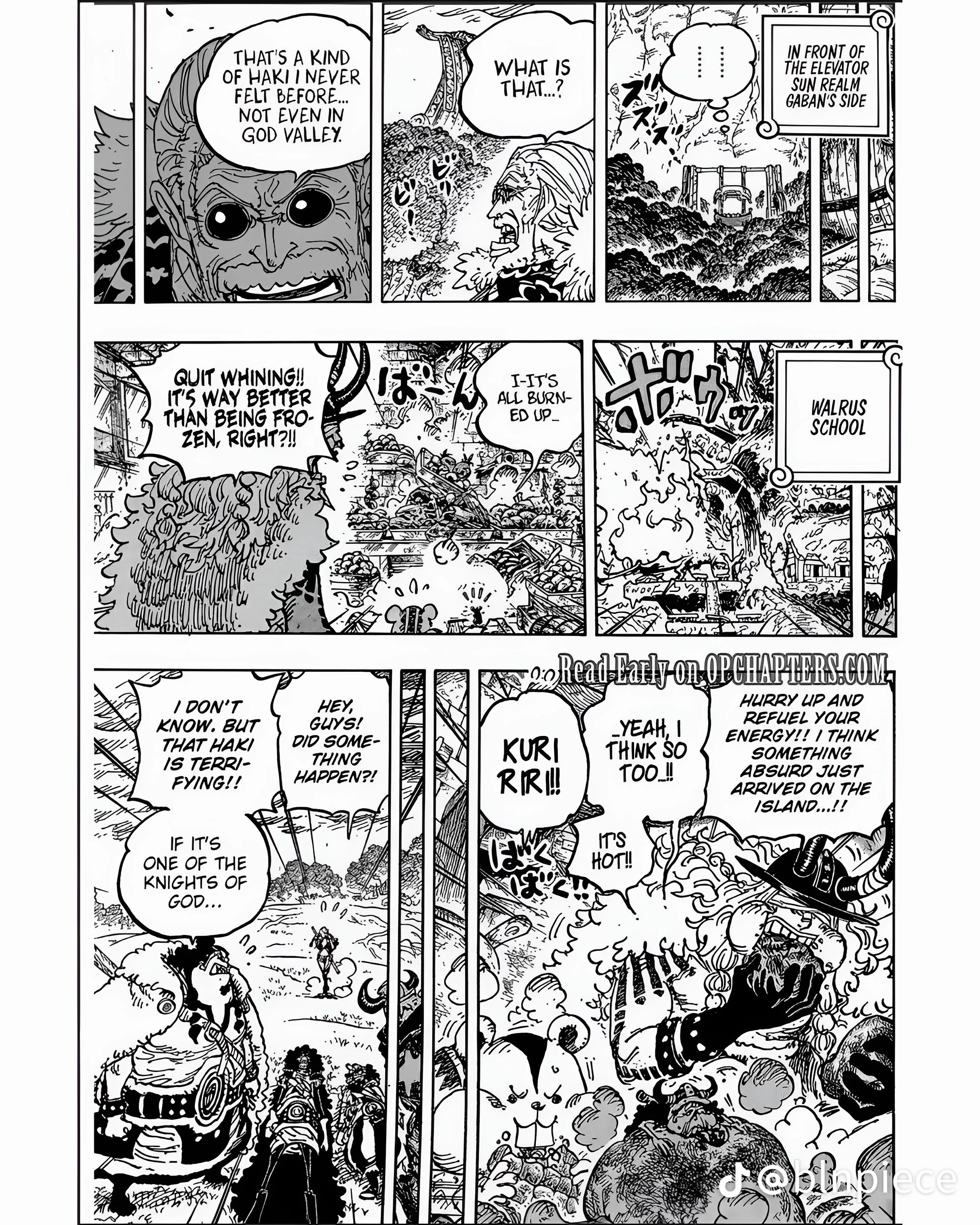 One Piece Manga, chapter 1180 ENG, page 12